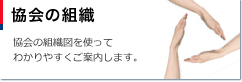 協会の組織